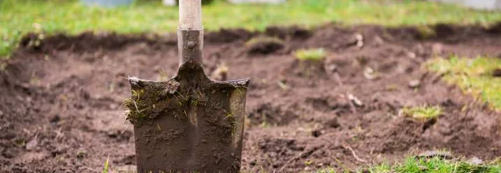 Spaten steckt in aufgelockerter Erde